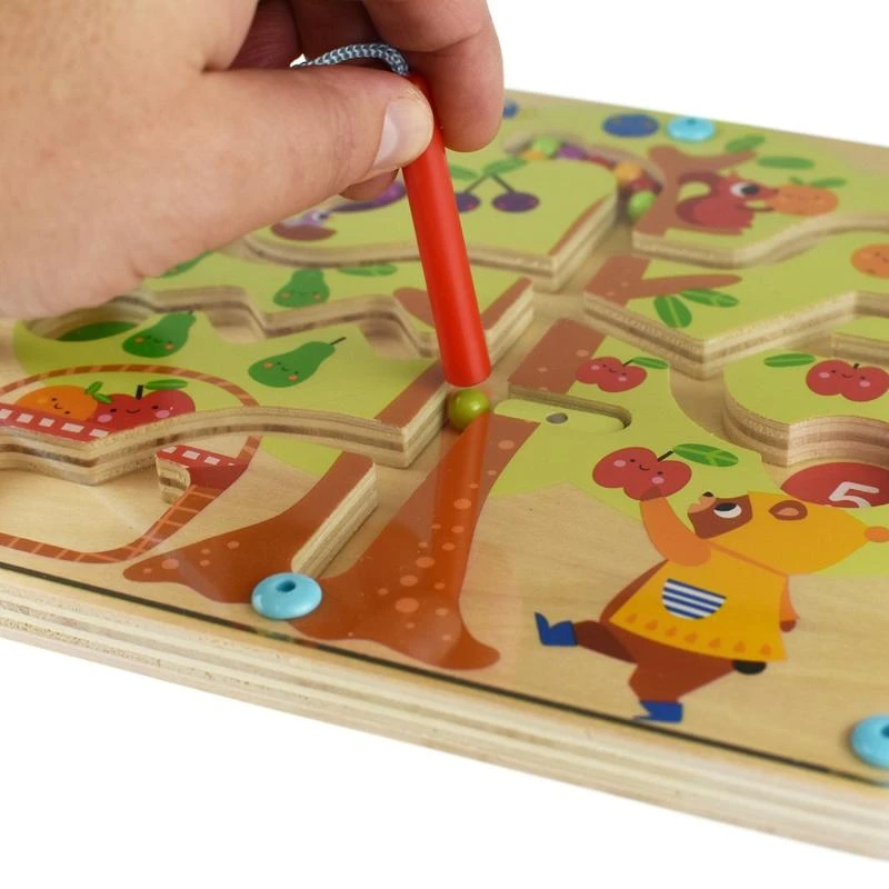 Tooky Toys „Taky Toy Labirynt Magnetic Fruber“ mokymo mokymas