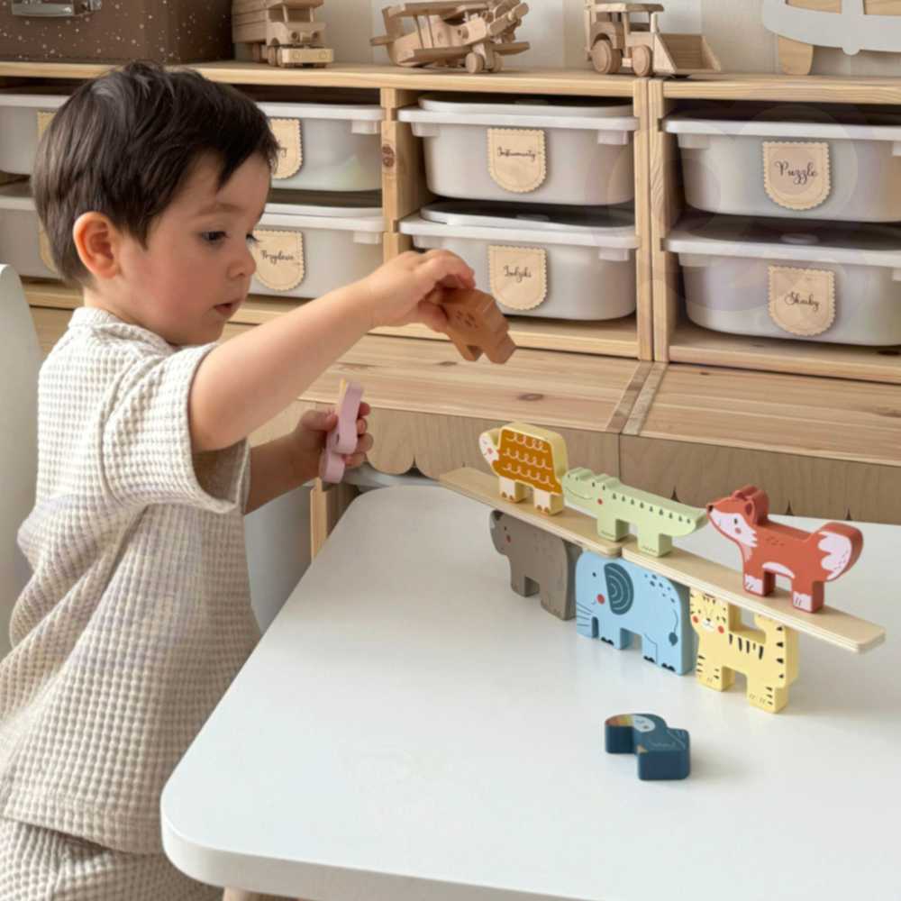 Tooky Toys Medinės Montessori kaladėlės Gyvūnėliai TOOKY TOY
