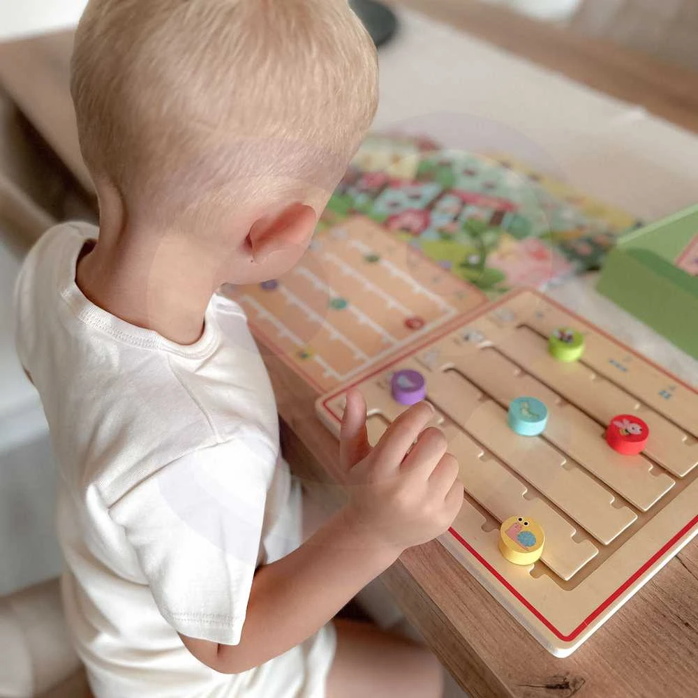 Tooky Toys Tooky Toy Medinė Žaidimų Rinkinys Skaičiavimo Mokymuisi su Gyvūnais