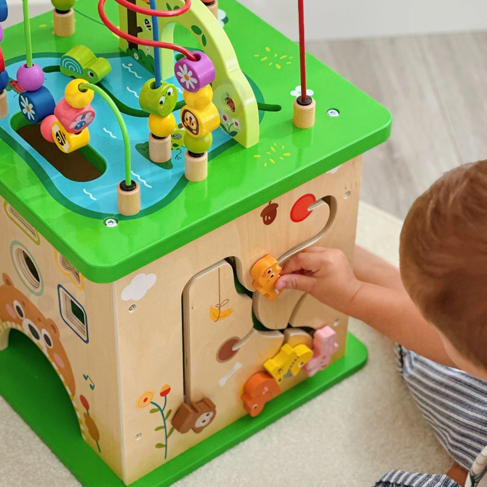 Tooky Toys „Takey Toy Educational Cub“