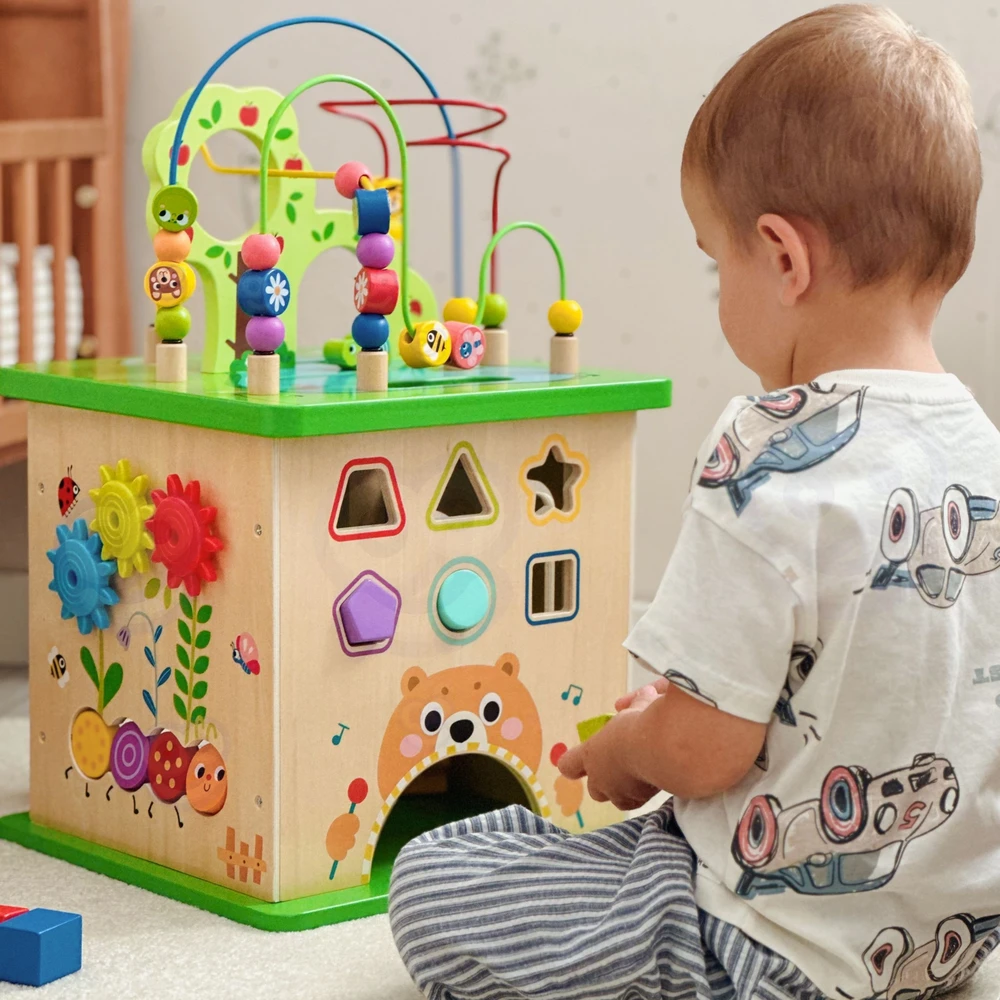 Tooky Toys „Takey Toy Educational Cub“