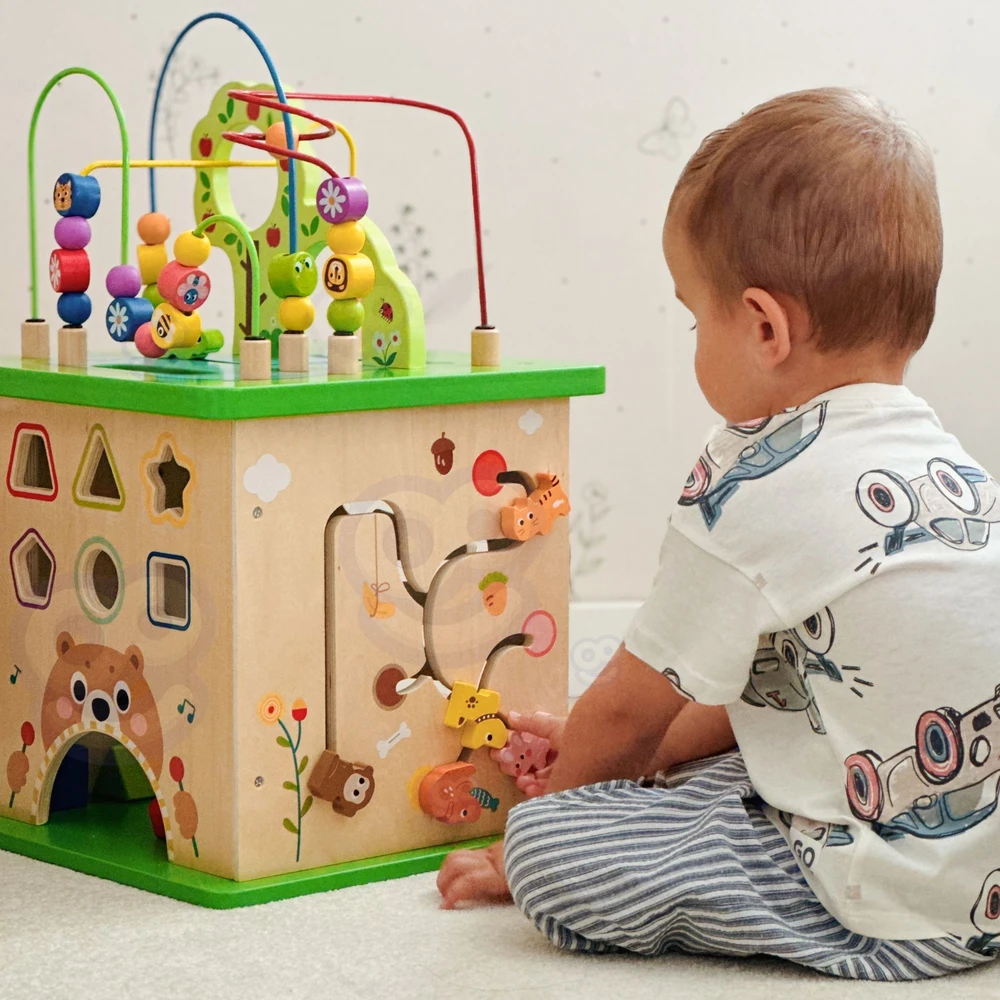 Tooky Toys „Takey Toy Educational Cub“