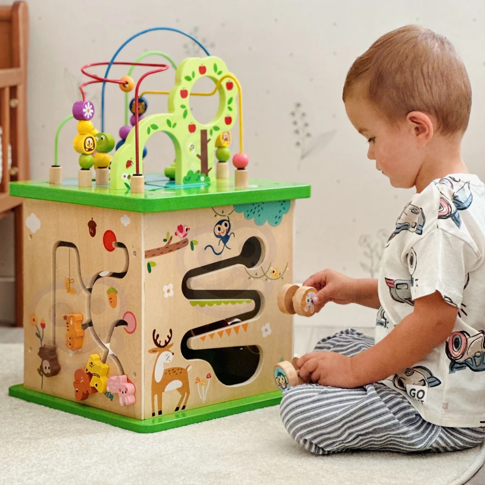 Tooky Toys „Takey Toy Educational Cub“