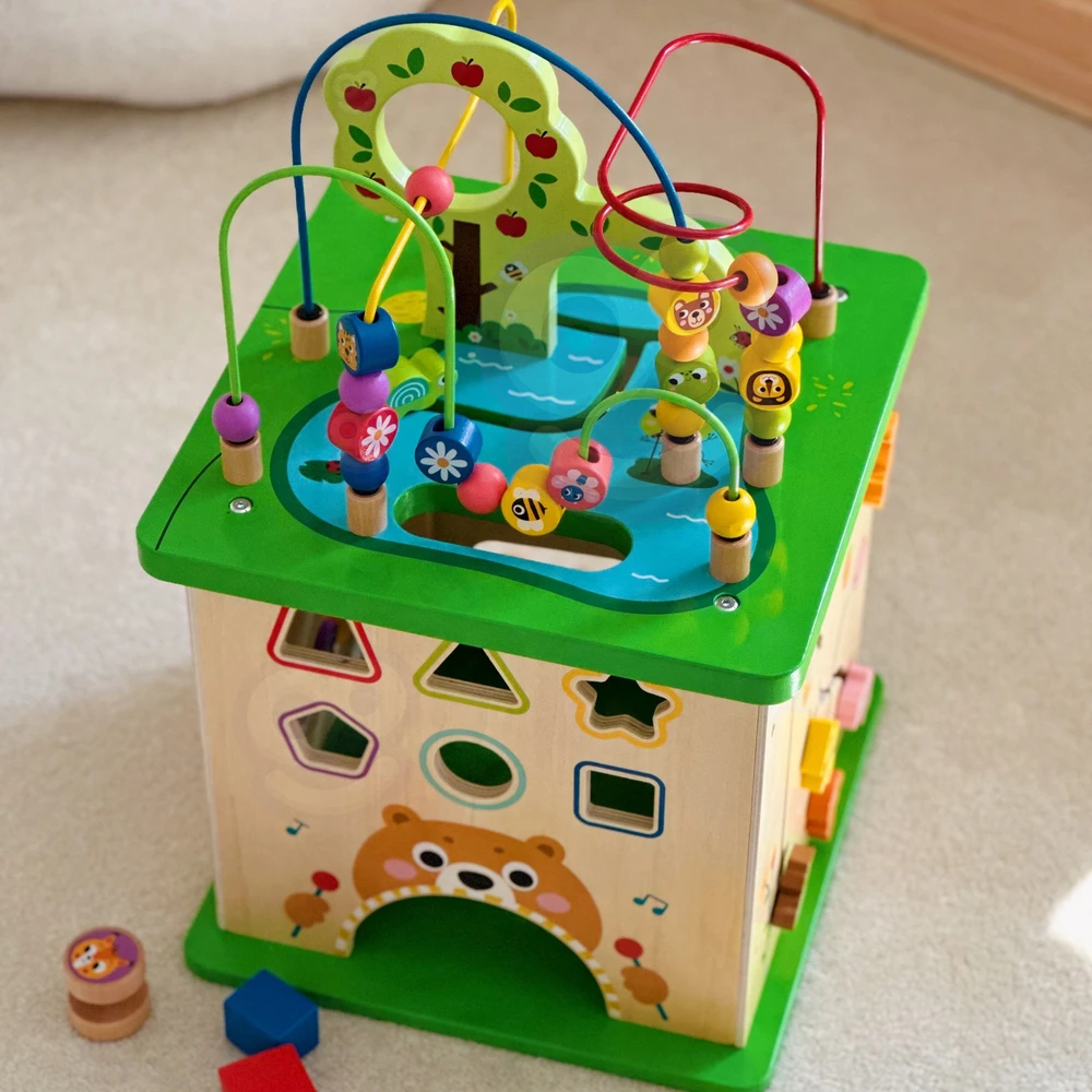 Tooky Toys „Takey Toy Educational Cub“
