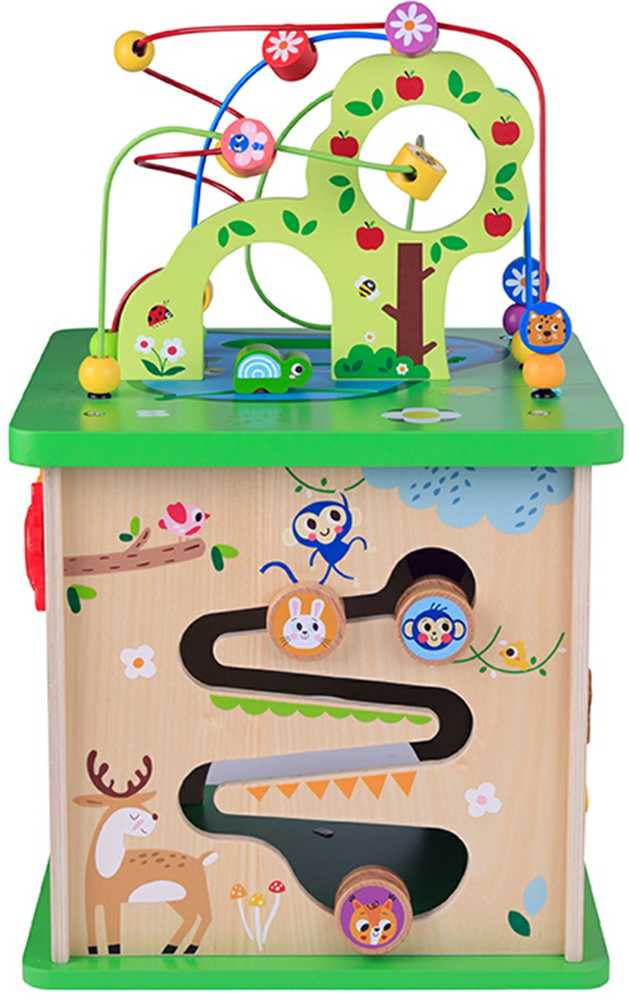 Tooky Toys TOOKY TOY Educational Cube Sorter Maze Intertwining Animals
