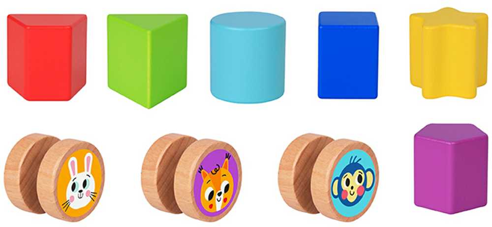 Tooky Toys TOOKY TOY Educational Cube Sorter Maze Intertwining Animals
