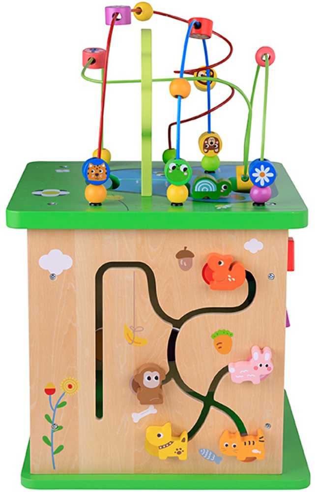 Tooky Toys TOOKY TOY Educational Cube Sorter Maze Intertwining Animals