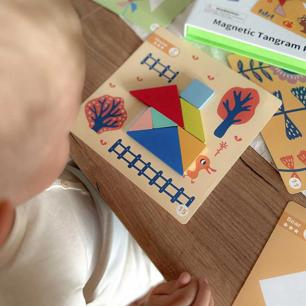 Tooky Toys Medinė dėlionė Tangram TOOKY TOY