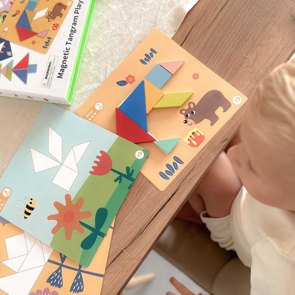 Tooky Toys Medinė dėlionė Tangram TOOKY TOY