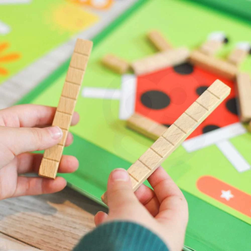 Tooky Toys Tooky Toy Medinės Magnetinės Kaladėlės Su Galvosūkiais 49 vnt.