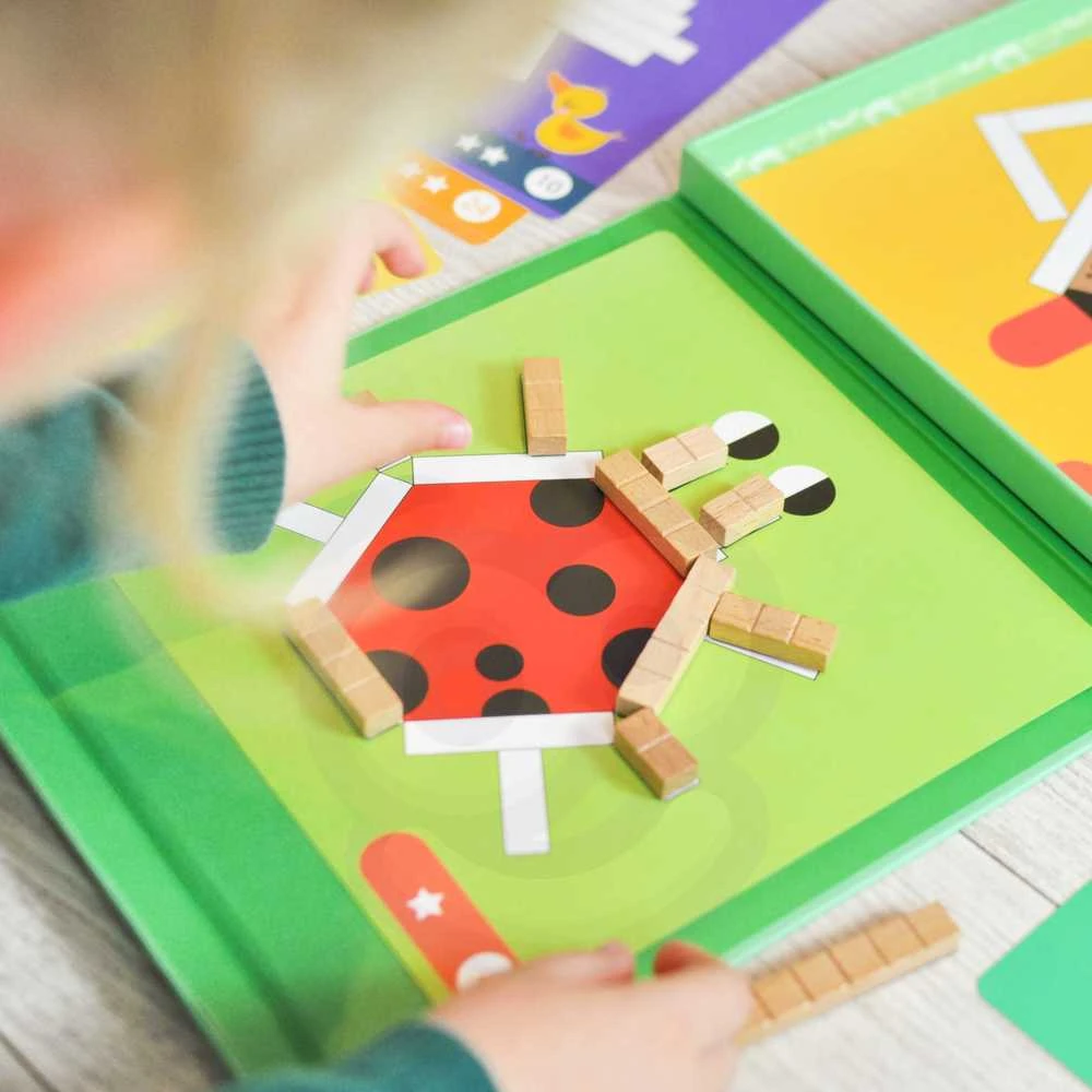 Tooky Toys Tooky Toy Medinės Magnetinės Kaladėlės Su Galvosūkiais 49 vnt.