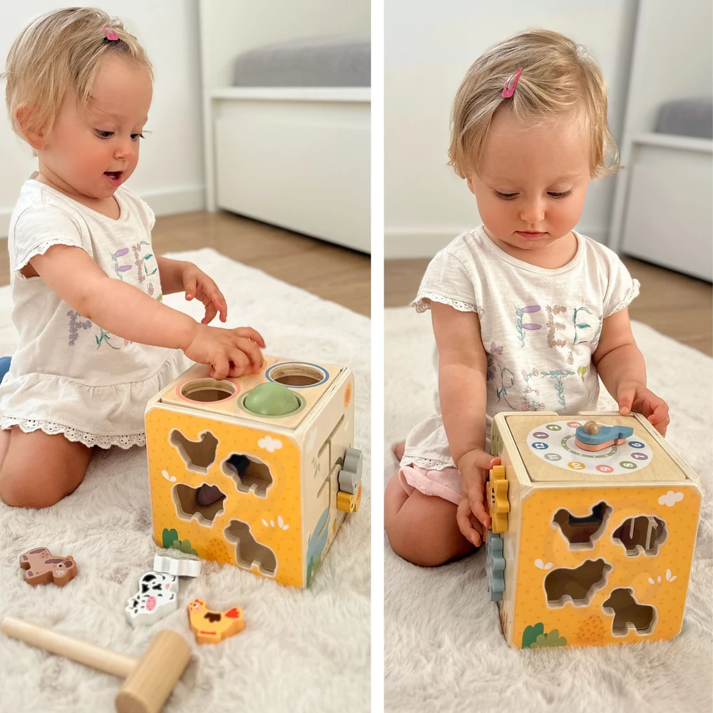 Tooky Toys TOOKY TOY medinis spyruoklinis lavinamasis kubas 5 in 1