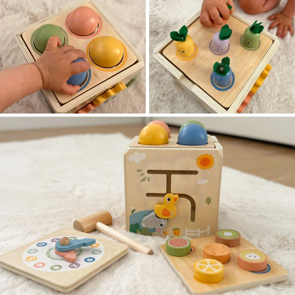 Tooky Toys TOOKY TOY medinis spyruoklinis lavinamasis kubas 5 in 1