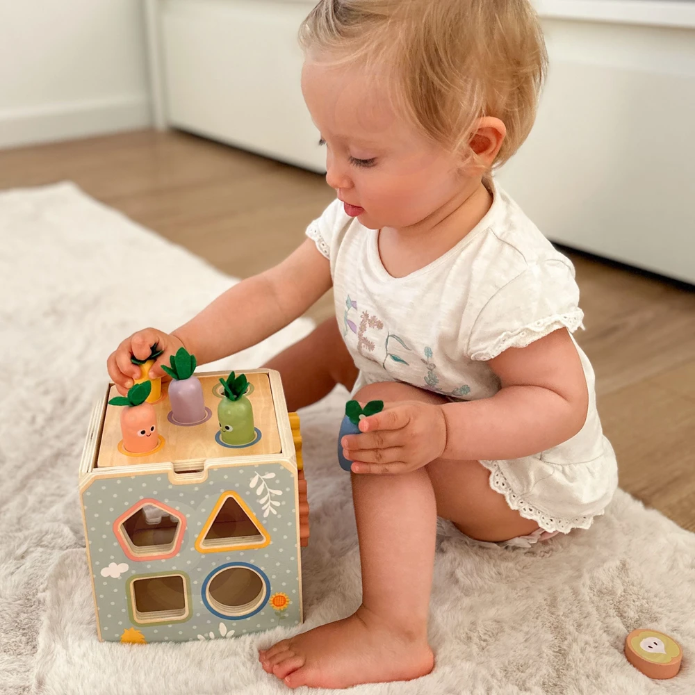 Tooky Toys TOOKY TOY medinis spyruoklinis lavinamasis kubas 5 in 1