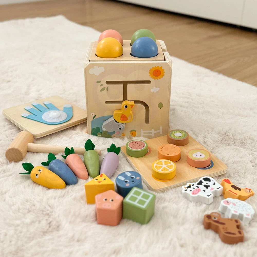 Tooky Toys TOOKY TOY medinis spyruoklinis lavinamasis kubas 5 in 1