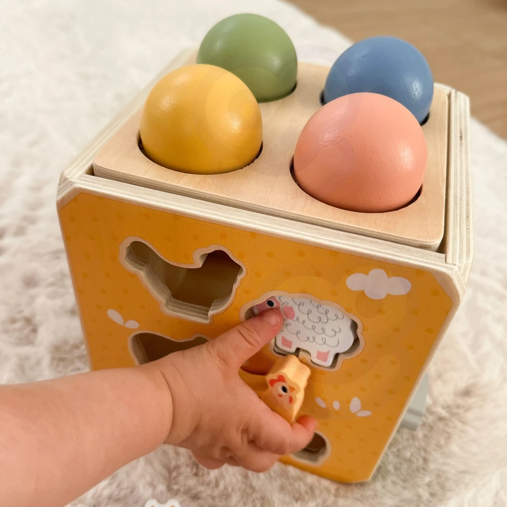 Tooky Toys TOOKY TOY medinis spyruoklinis lavinamasis kubas 5 in 1