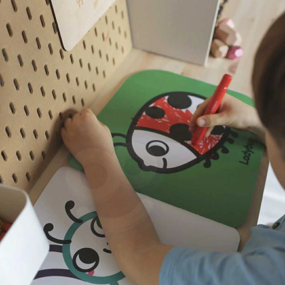 Tooky Toys Tooky Toy Edukacinė Dėžutė Montessori Žaidimas 6w1 3 metų ir vyresniems