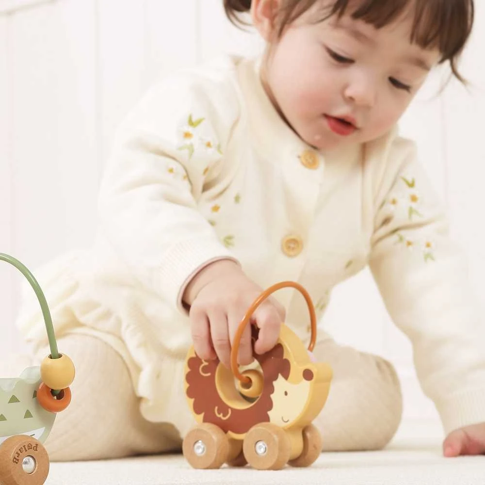 Viga Toys Medinis stumiamas karoliukų labirintas VIGA ežiukas