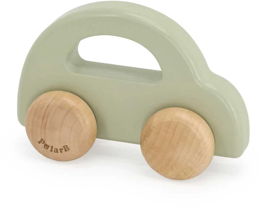 Edukacinių žaislų rinkinys Little Explorers VIGA