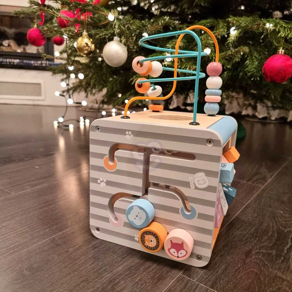 Viga Toys Lavinantis Medinis Žaislas VIGA Polar 5w1