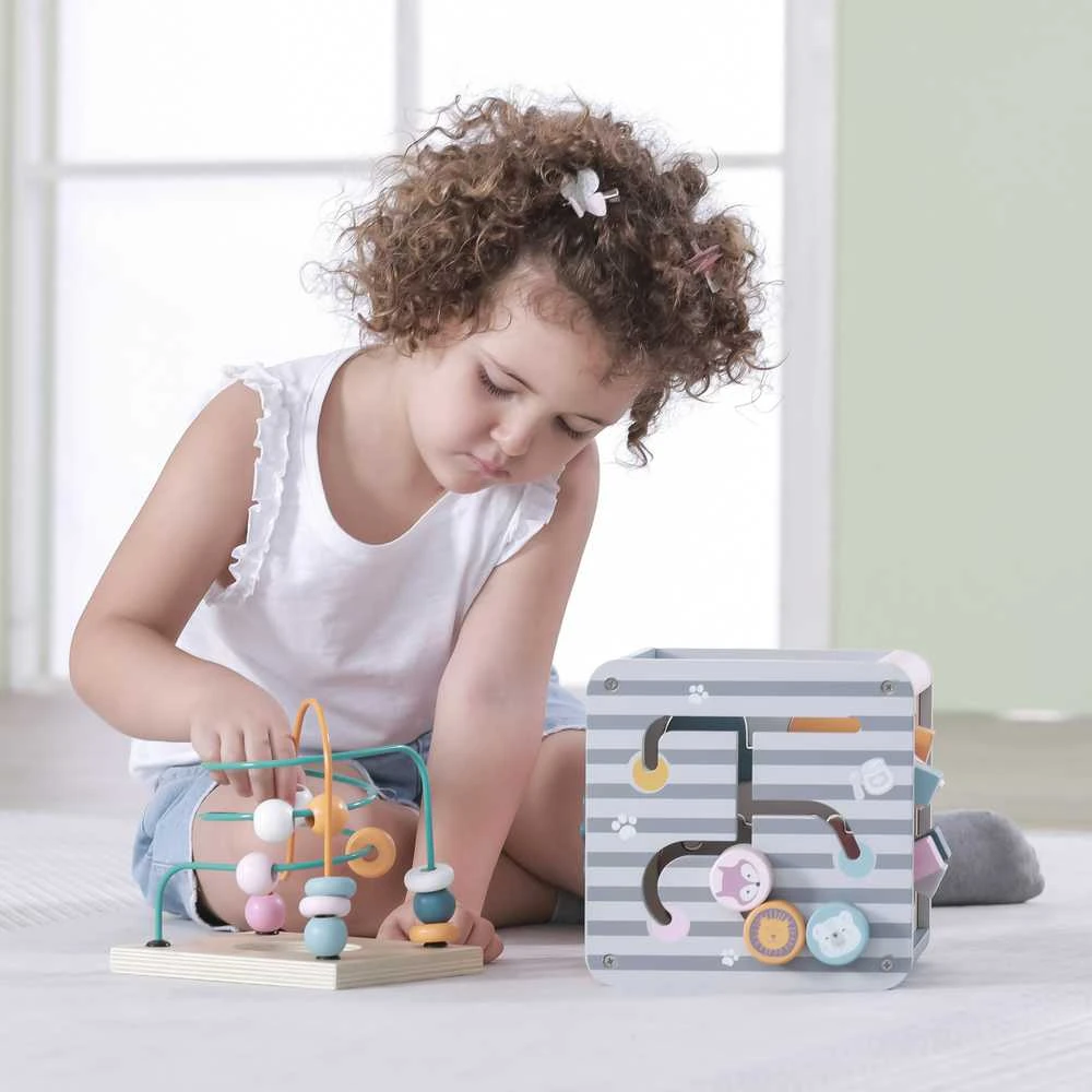 Viga Toys Lavinantis Medinis Žaislas VIGA Polar 5w1