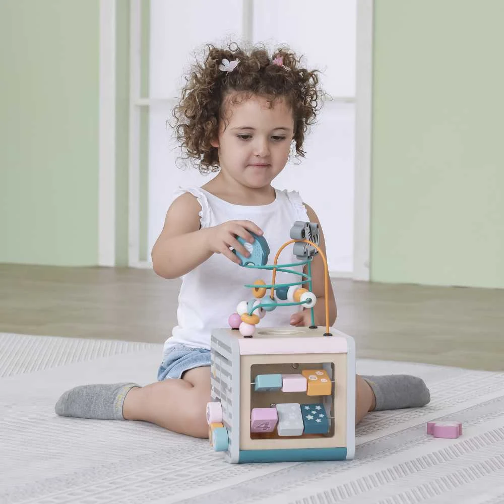 Viga Toys Lavinantis Medinis Žaislas VIGA Polar 5w1
