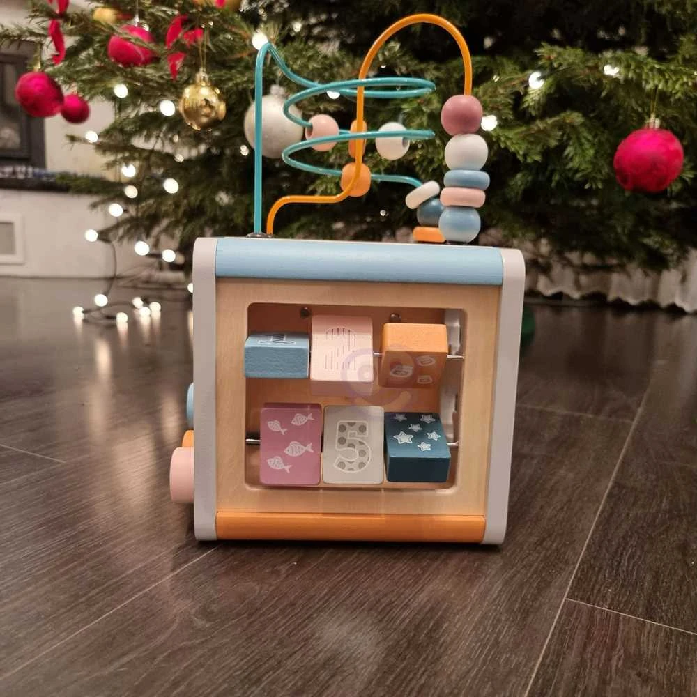 Viga Toys Lavinantis Medinis Žaislas VIGA Polar 5w1