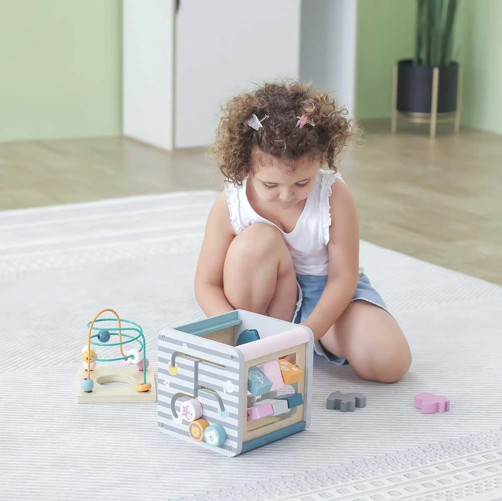 Viga Toys Lavinantis Medinis Žaislas VIGA Polar 5w1