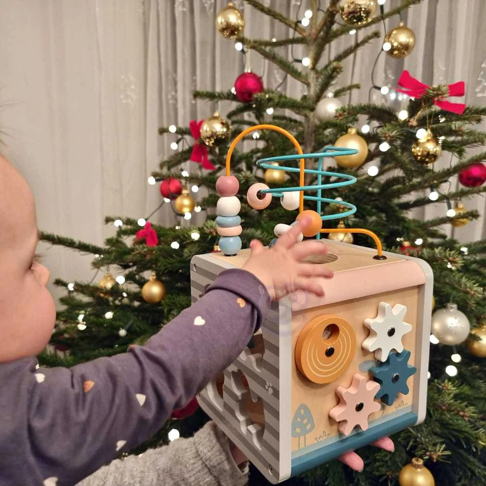 Viga Toys Lavinantis Medinis Žaislas VIGA Polar 5w1