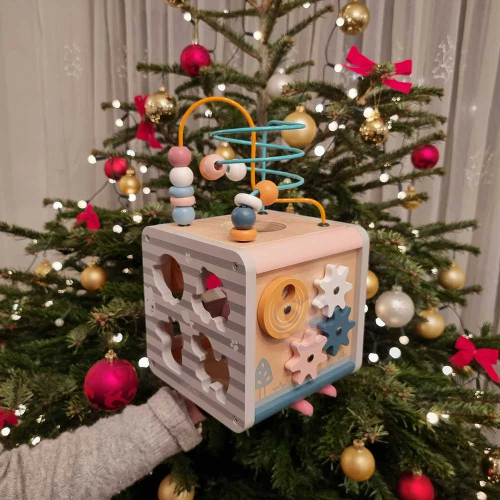 Viga Toys Lavinantis Medinis Žaislas VIGA Polar 5w1