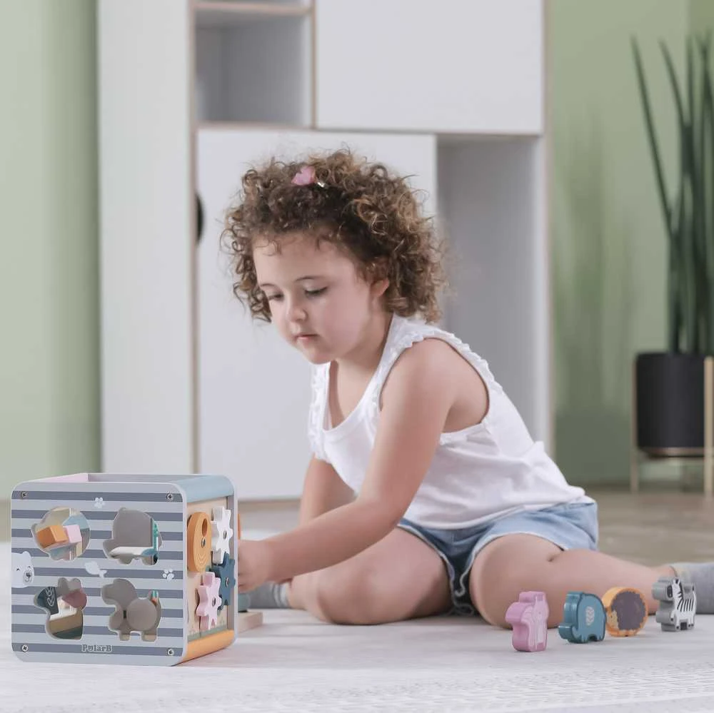 Viga Toys Lavinantis Medinis Žaislas VIGA Polar 5w1