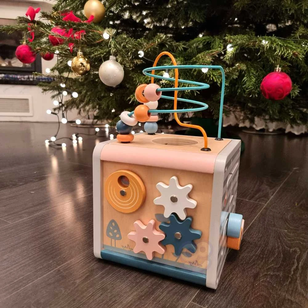 Viga Toys Lavinantis Medinis Žaislas VIGA Polar 5w1
