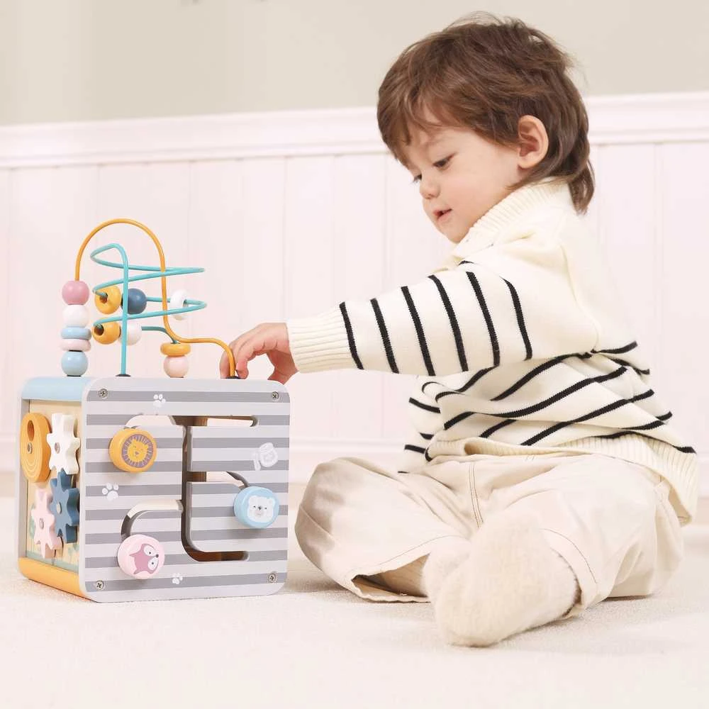 Viga Toys Lavinantis Medinis Žaislas VIGA Polar 5w1