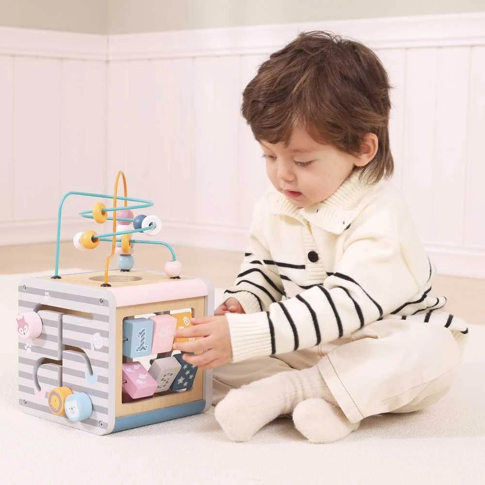 Viga Toys Lavinantis Medinis Žaislas VIGA Polar 5w1