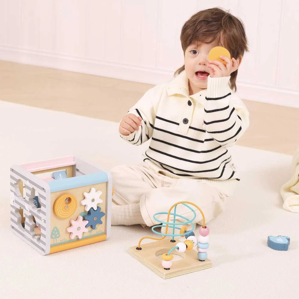 Viga Toys Lavinantis Medinis Žaislas VIGA Polar 5w1