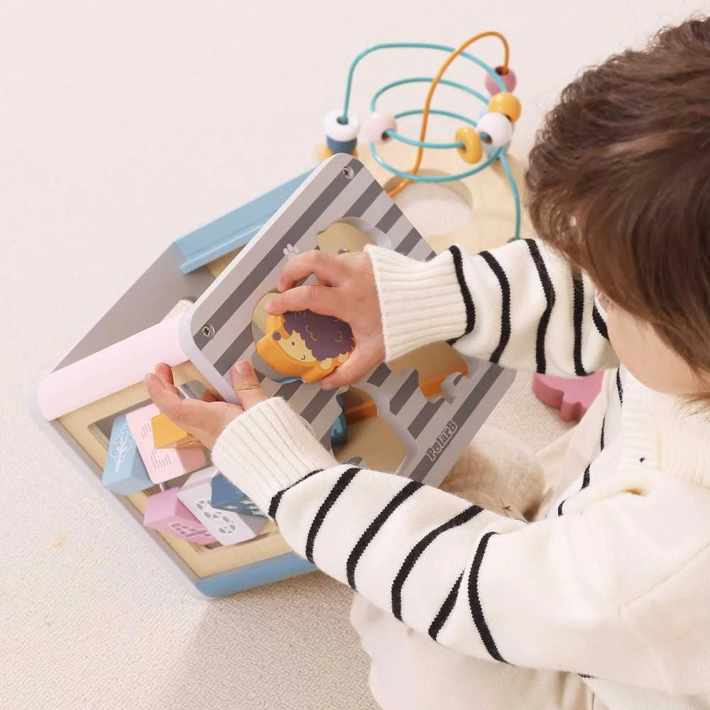 Viga Toys Lavinantis Medinis Žaislas VIGA Polar 5w1