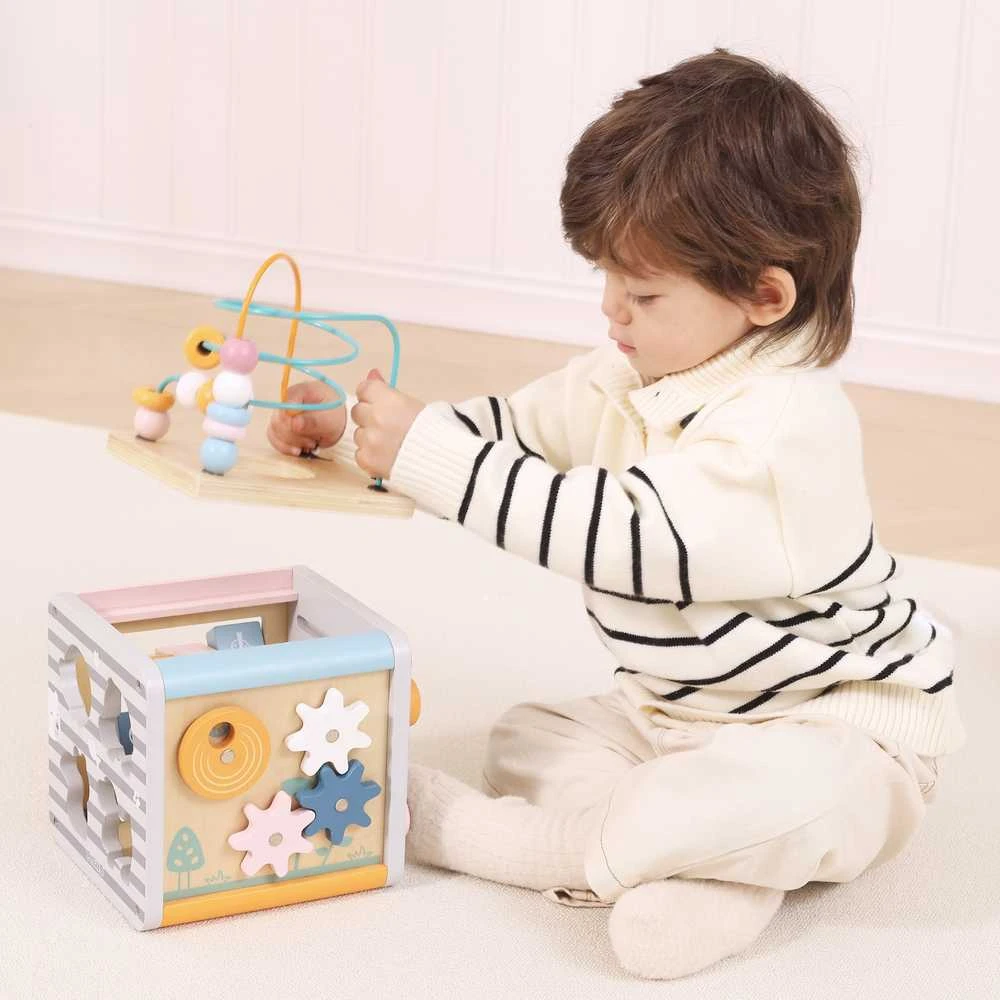 Viga Toys Lavinantis Medinis Žaislas VIGA Polar 5w1