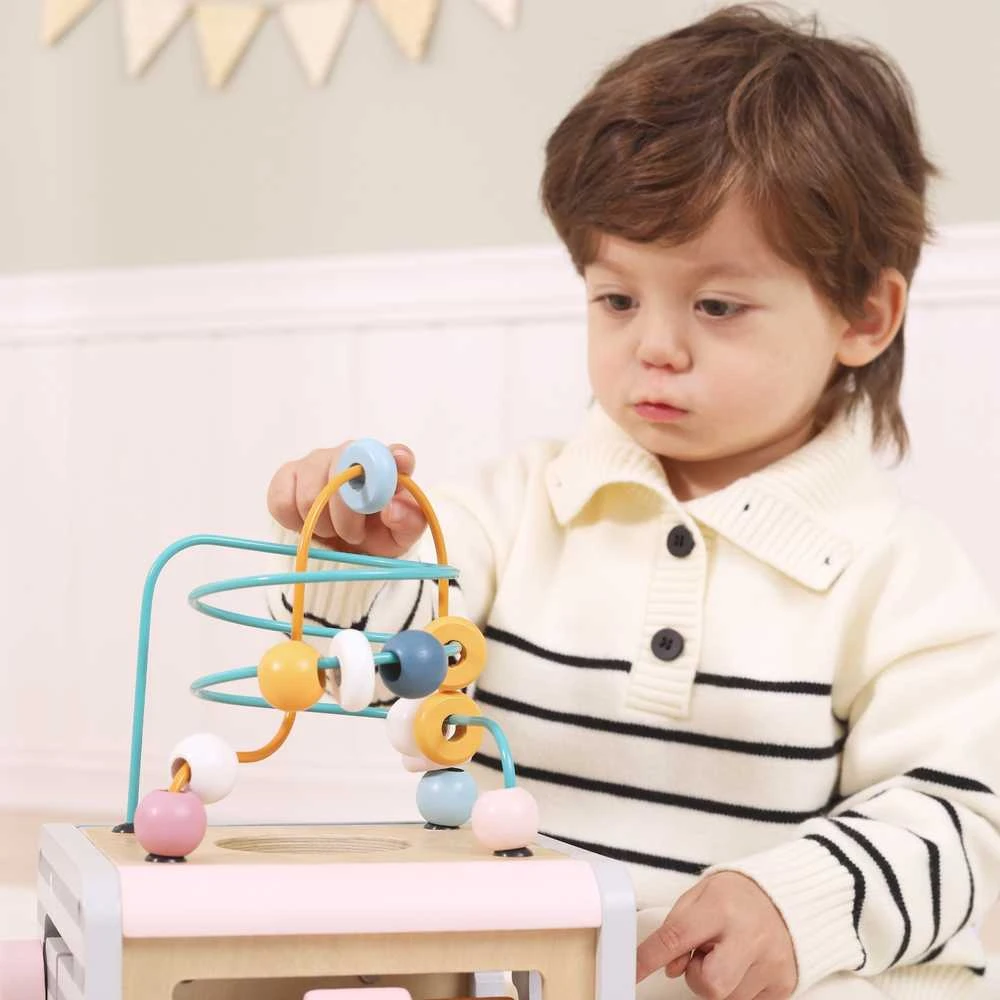 Viga Toys Lavinantis Medinis Žaislas VIGA Polar 5w1