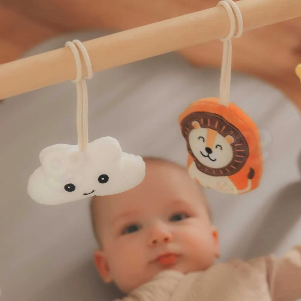 Viga Toys Viga Vaikų Žaidimų Stovas PolarB Žaislas Kūdikiams
