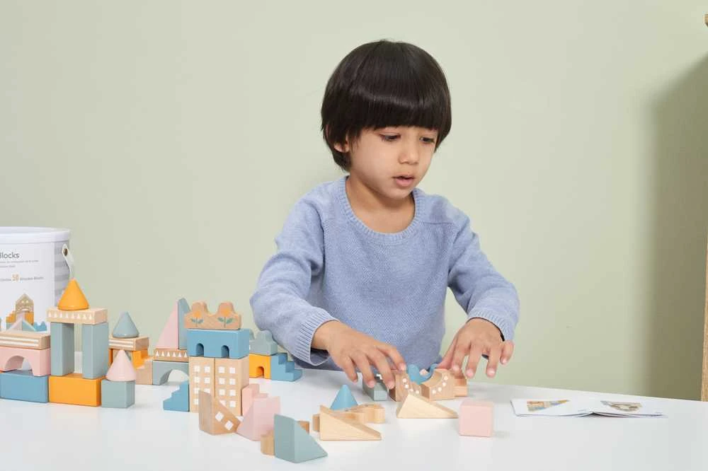 „Viga Polarb“ mediniai blokai Miesto blokai 50 Montessori elementų