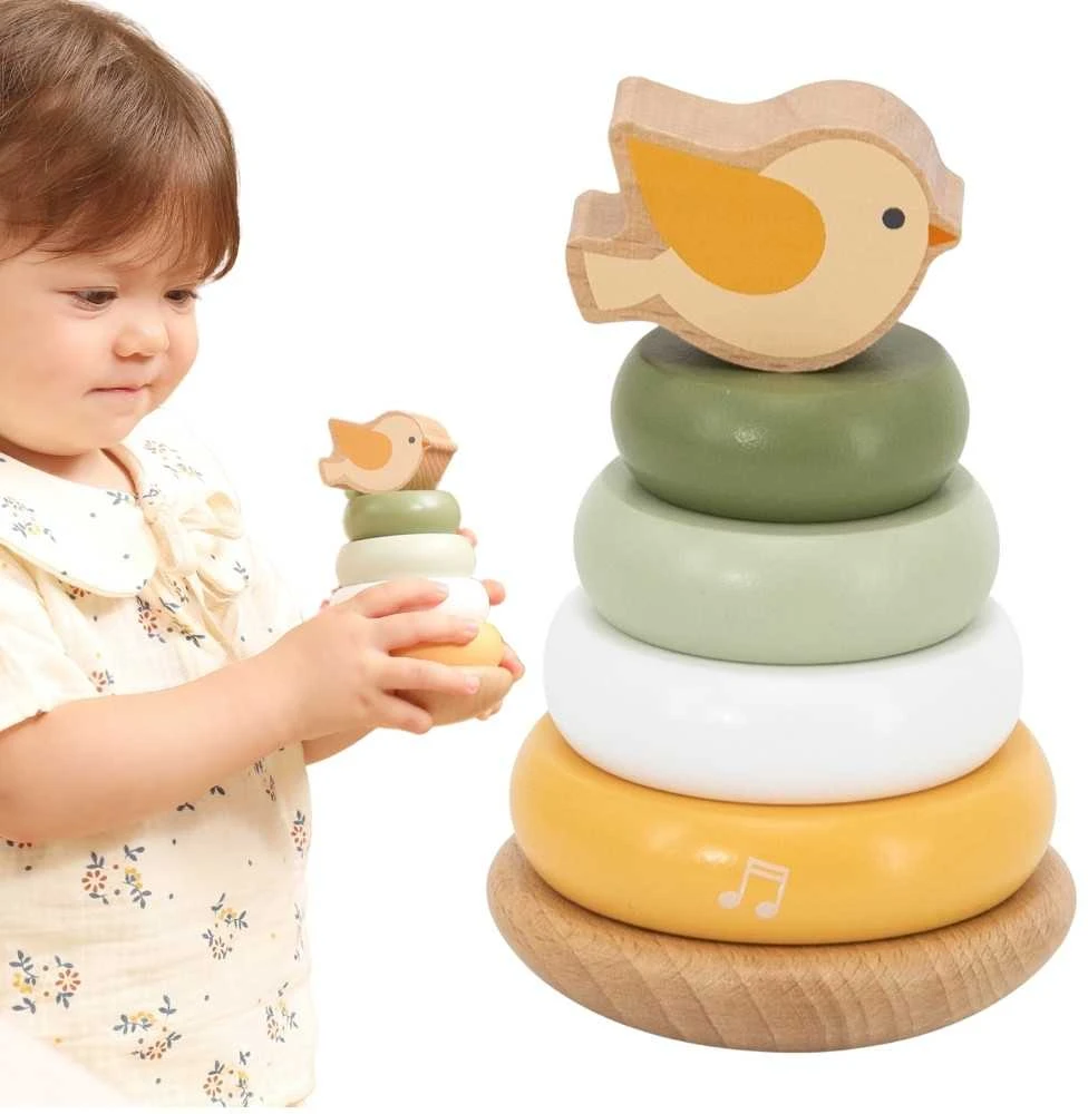 Dėlionė Viga Toys Medinė edukacinė piramidė VIGA PolarB