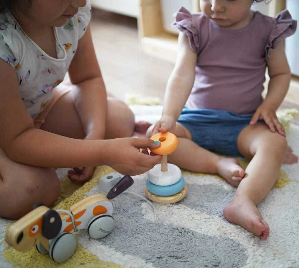 Viga Toys Edukacinė piramidė - Baltasis lokys B. VIGA