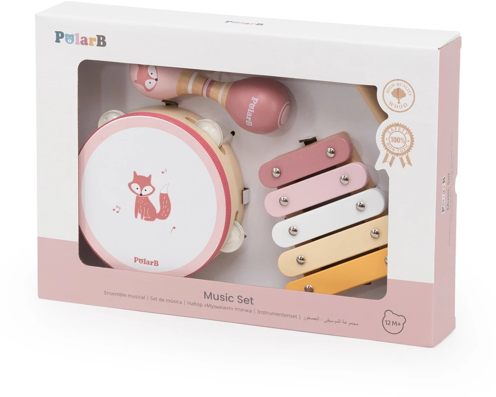 VIGA PolarB rožinis muzikinių instrumentų rinkinys