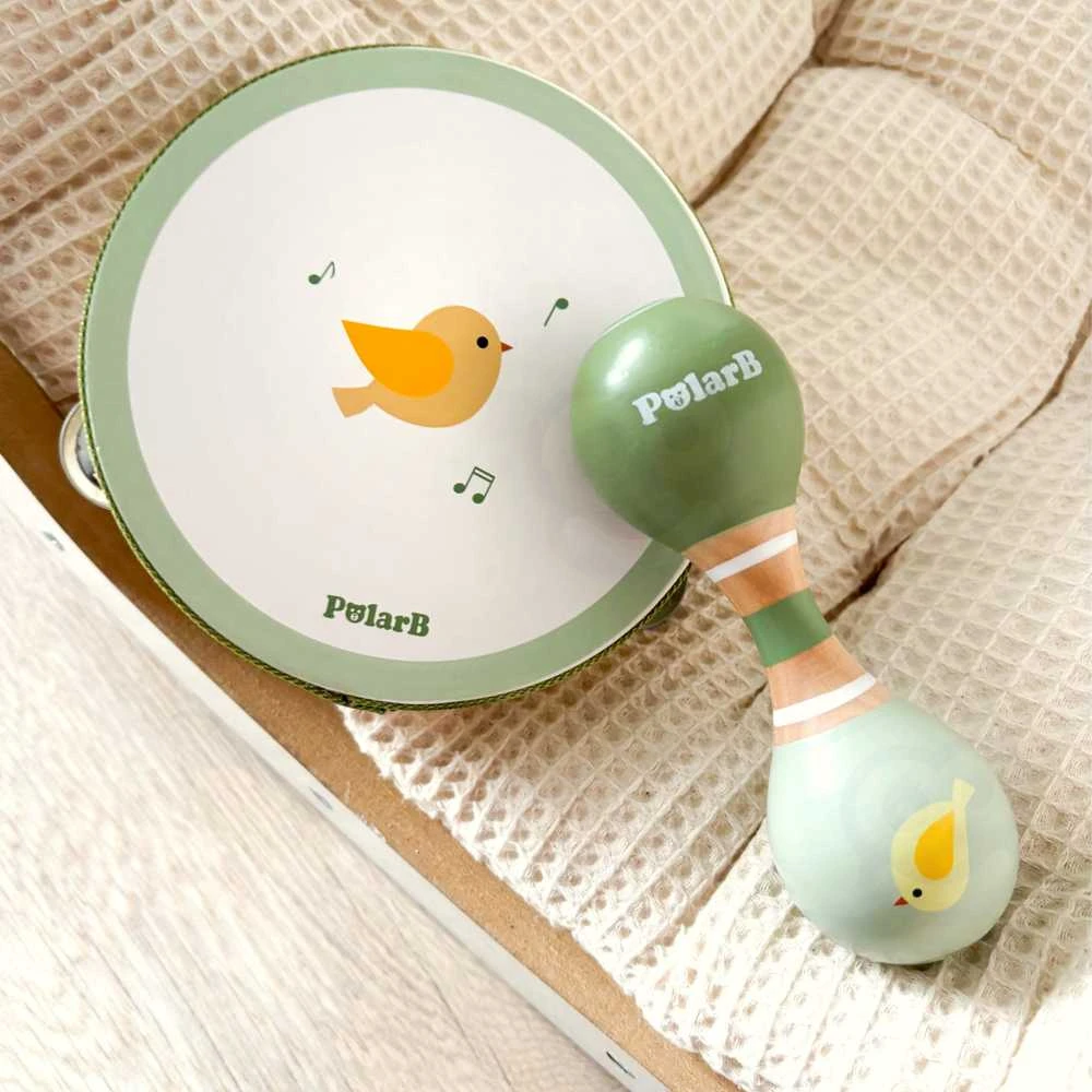 Viga Toys VIGA PolarB Musical Instrument Set Žalias