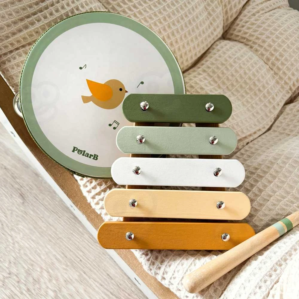 Viga Toys VIGA PolarB Musical Instrument Set Žalias
