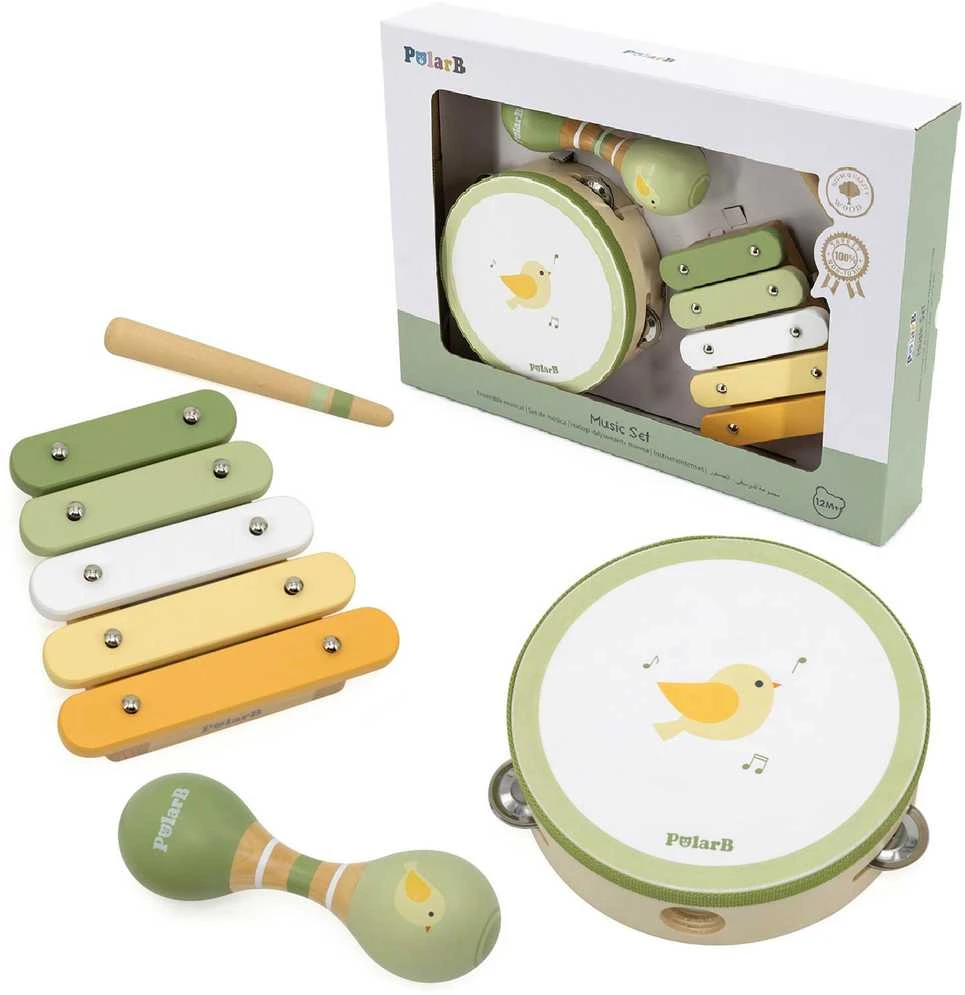 Viga Toys VIGA PolarB Musical Instrument Set Žalias