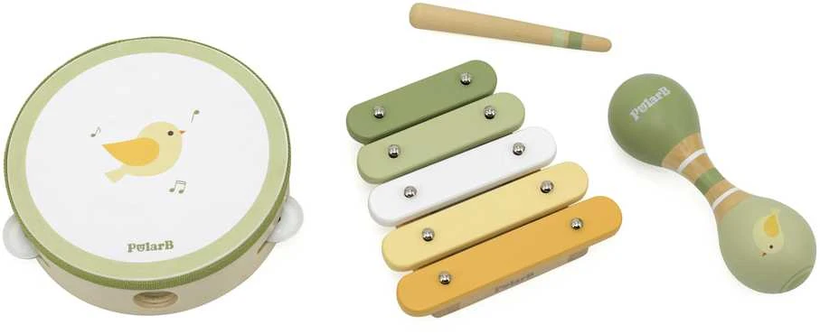 Viga Toys VIGA PolarB Musical Instrument Set Žalias