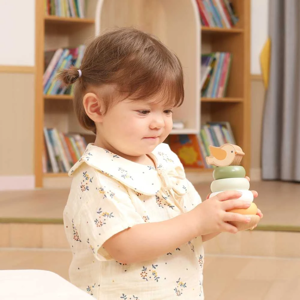 Dėlionė Viga Toys Medinė edukacinė piramidė VIGA PolarB