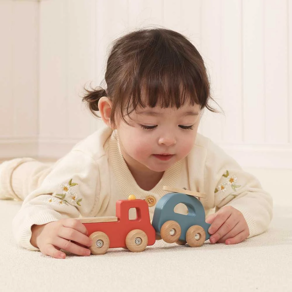 Viga Toys Medinių transporto priemonių rinkinys VIGA PolarB 4vnt
