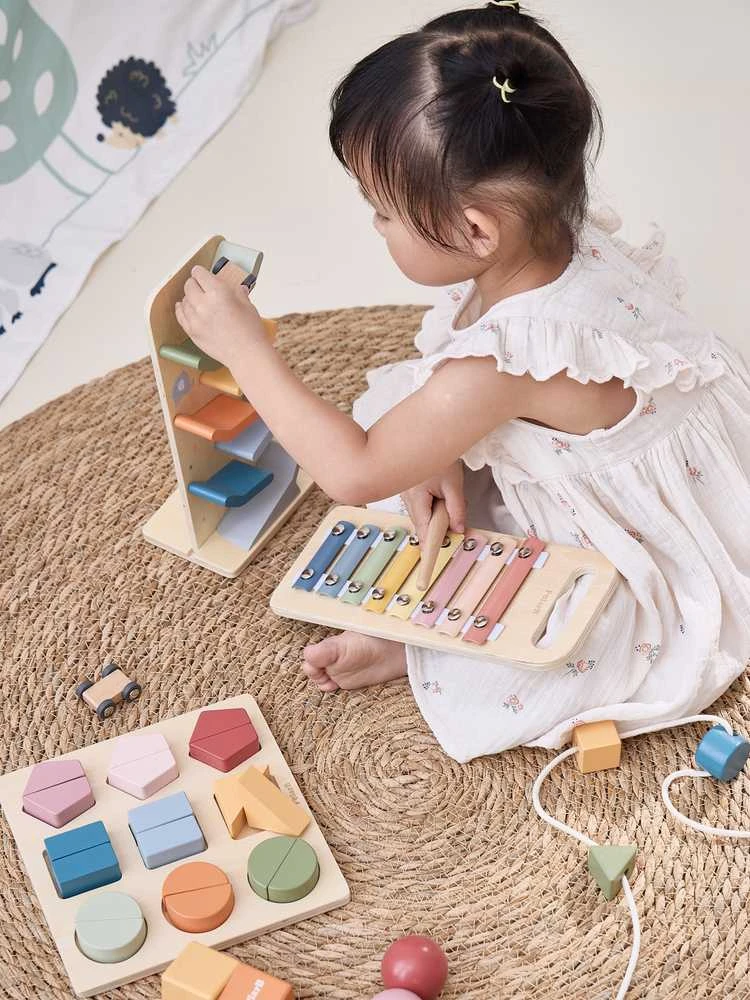 Edukacinių žaislų rinkinys vaikams VIGA Colour Crafters